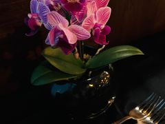 -随意鸟地方101观景餐厅