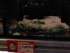 -武汉花鸟市场