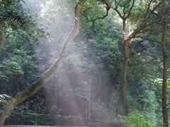 -杭州半山国家森林公园