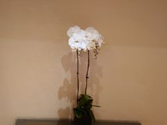 -北京丽晶酒店