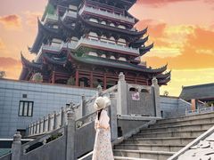 -荷兰花海
