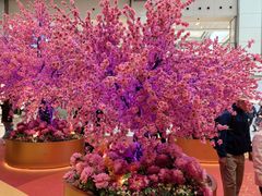 -新城市广场