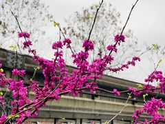 -佛图关公园