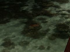 -卡帕莱度假村(西巴丹岛)