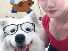 -汪说·狗咖·拼豆·宠物周边DIY(旺城大厦店)