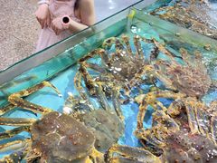 -渔民新村(番禺总店)