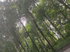 -黑龙江省森林植物园