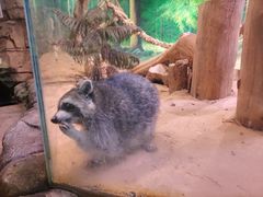 -正佳雨林生态植物园