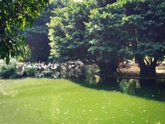 -九龙公园