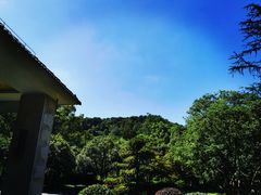 -杭州花家山庄