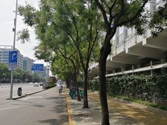 -北京八中游泳馆