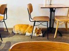 -肥朵食堂(带梦胡同店)