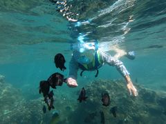 -海南分界洲岛旅游区