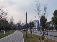 -府河摄影公园