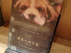 -新华文创·光的空间