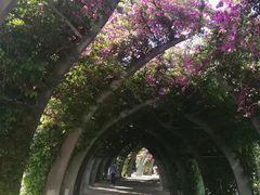 -布里斯班南岸公园