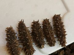 -宫品海参专卖店(静安大宁店)