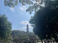 -江心屿景区
