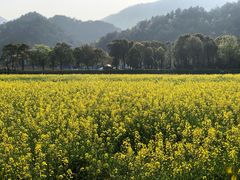 -韶山毛泽东同志故居