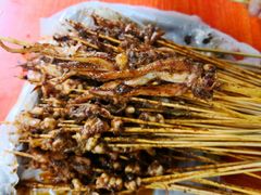 -十里铺铁板鱿鱼