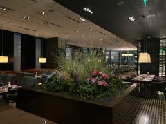 -广州文华东方酒店·悦铂尼西餐厅