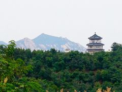 -紫云台香草园