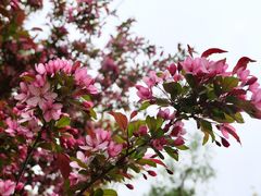 -朝阳公园