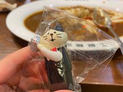 -伽喱博士 Dr.CURRY咖喱饭(太阳宫咖喱店)