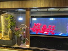 -臻享养生·SPA·影院式足道(汇臻店)