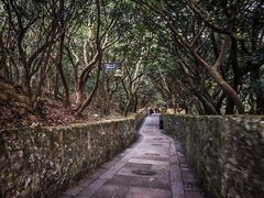 -普陀山慧济禅寺