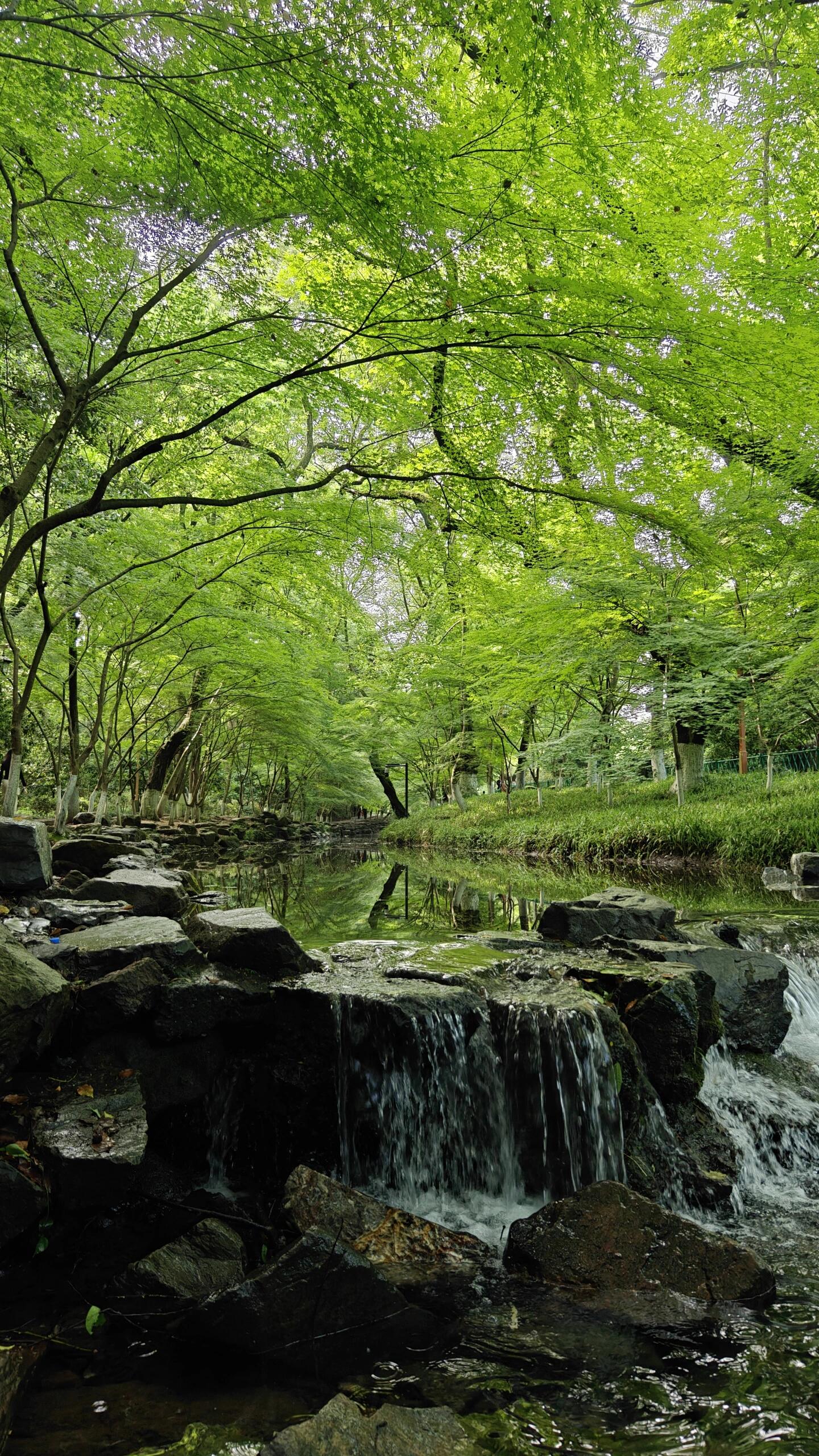 自然风光分享#徒步好风景#旅途中的美景