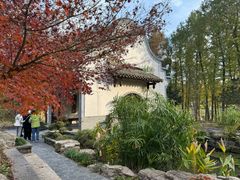 -东平国家森林公园