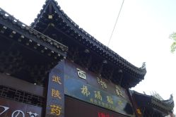 -凤凰县苗族银饰锻制技艺传习所