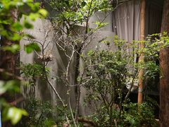 -森SPA·泰式按摩·精油Massage(宝安中心店)