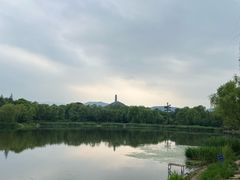 -北坞公园