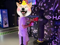 -VS SPORTS PARK运动玩乐园·团建·生日会(合生汇店)