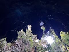 -怀托摩萤火虫洞