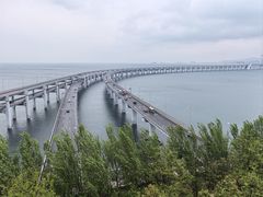 -星海湾跨海大桥