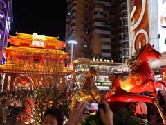 -越秀西湖花市(广州城市广场花卉店)