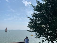 -贡湖湾湿地公园