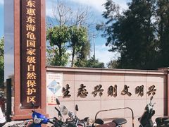 -广东惠东海龟国家级自然保护区