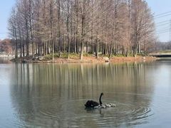 -上海海湾国家森林公园