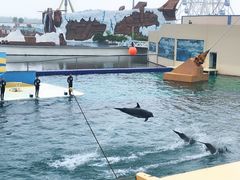 -秦皇岛乐岛海洋王国