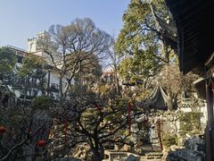 -豫园