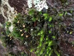 -溪口-滕头旅游景区