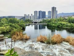 -东岳体育公园