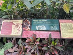 -海南热带野生动植物园