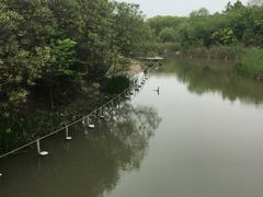 -上海吴淞炮台湾国家湿地公园