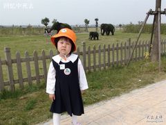-上海都市菜园