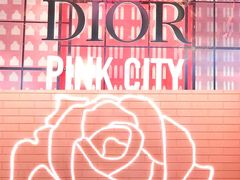 -Dior迪奥(上海世茂广场店)